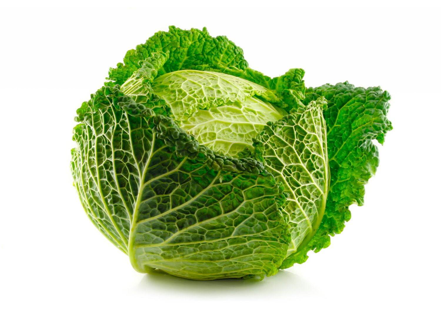 Cabbage, Savoy | Walmart Canada