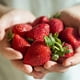 Glade Chandelle fraises – image 6 sur 8