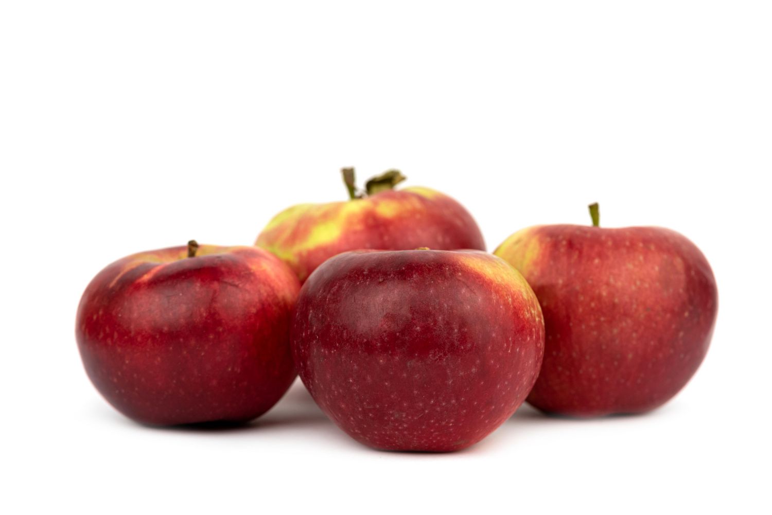 Lobo Apples, 3 lb