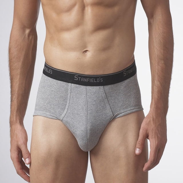 Stanfield's Men's Essentials Regular Rise Briefs