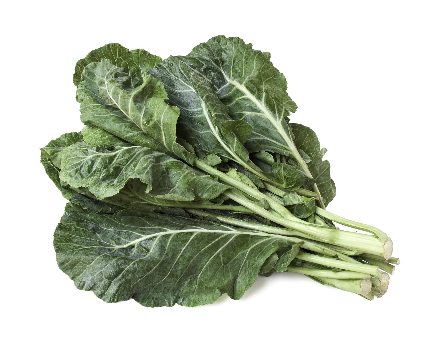 Feuilles de «chou vert» Vendu en botte