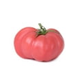 thumbnail image 1 of Tomato, Pink, 1 of 1