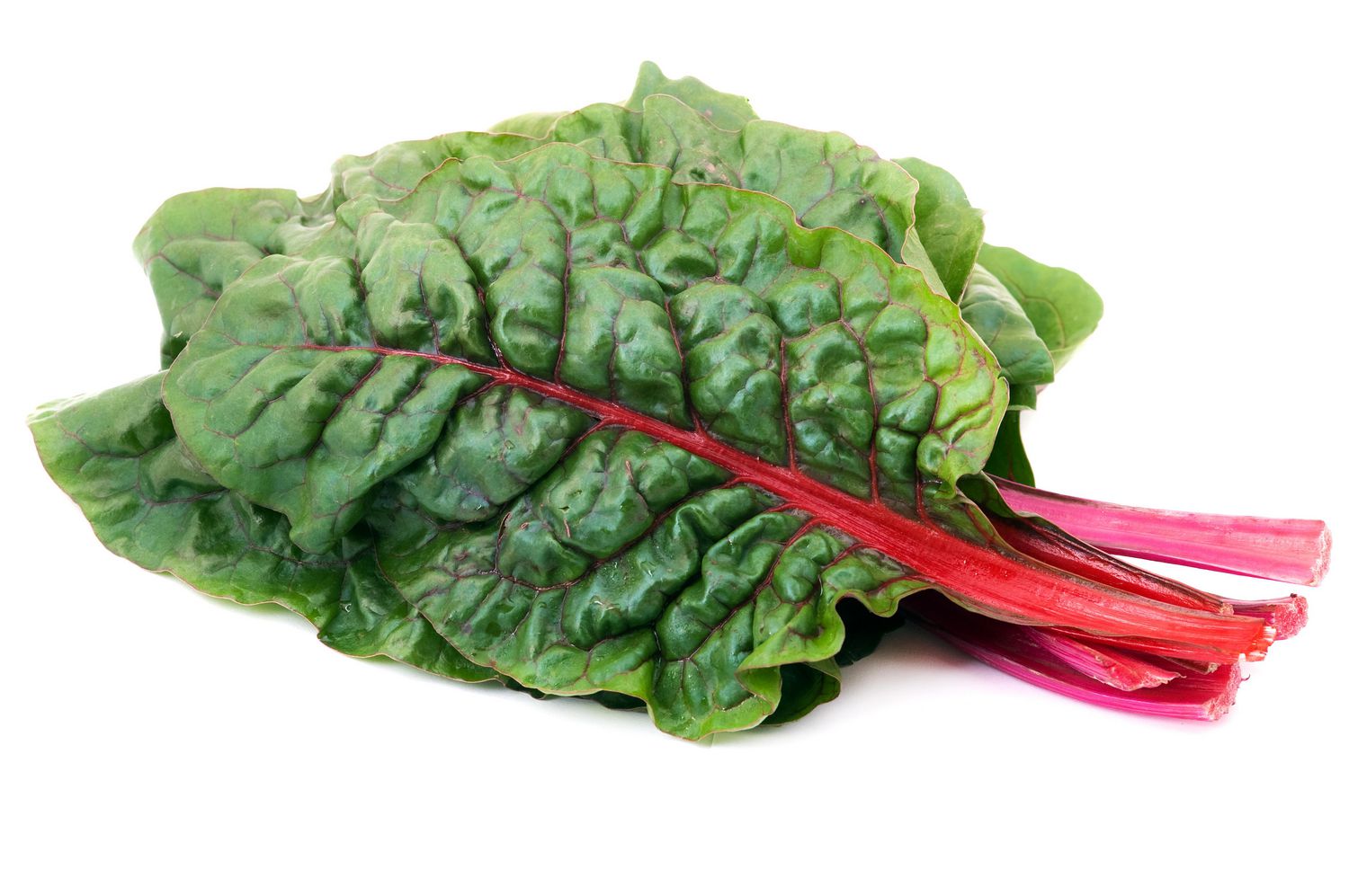 Bette à Carde, Vendue en Bouquets Bette à Carde Vert Feuillu, Bouquet Orienté vers l'Avant Mettant en Valeur des Tiges Côtelées Jaunes, Rouges et Blanches, des Feuilles Froissées Vert Foncé et des Veines Visibles; Convient à la Cuisine Méditerranéenne, au Sauté Rapide Ou comme Garniture Colorée.