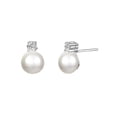 thumbnail image 1 of Charisma Sterling Silver Studs, 1 of 1