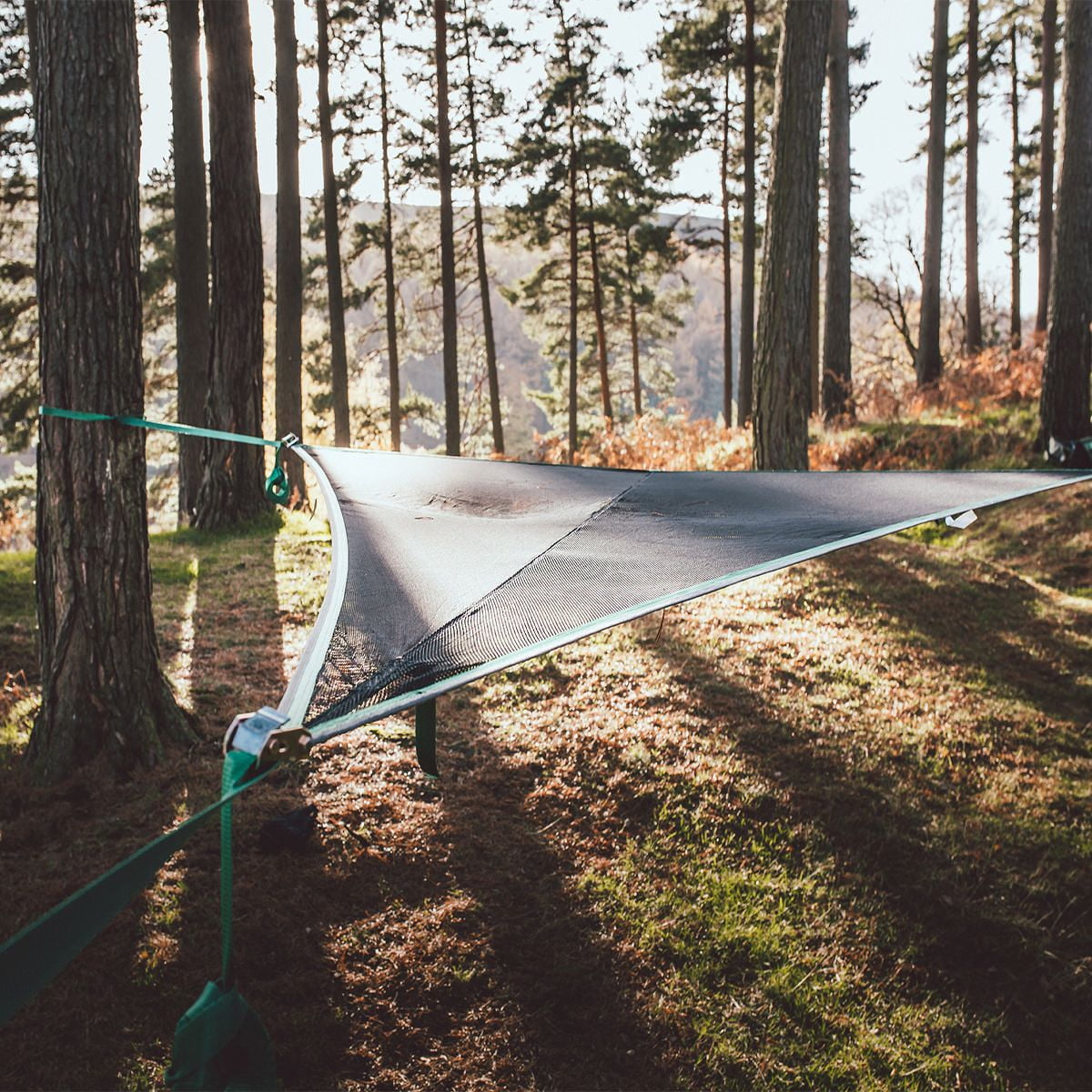 Tentsile t clearance mini