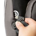 thumbnail image 3 of Evenflo Titan 65™ Convertible Car Seat, 3 of 6