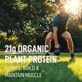 thumbnail image 2 of LEANFIT ORGANIC PLANT-BASED PROTEIN™ Plain, Unsweetened 715g - Organic Plant Protein Powder, 21g Protein Per Serving, Vegan, Gluten-Free, Soy-Free, Non-GMO, Sugar-Free, Complete Amino Acid Profile, 2 of 7
