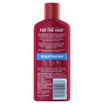 thumbnail image 2 of Old Spice Wolfthorn 2in1 Shampoo and Conditioner, 2 of 6