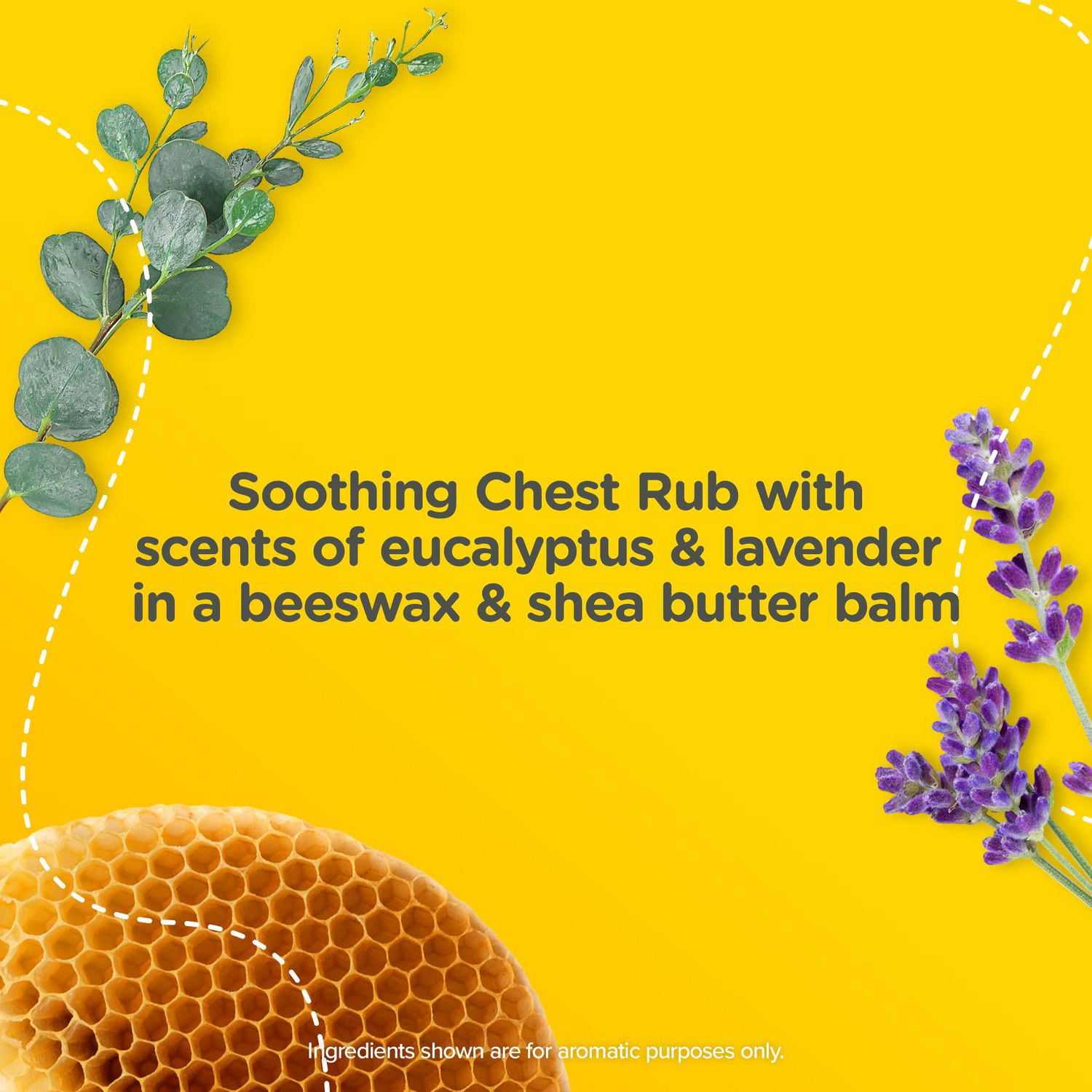 Zarbee’s Baby + Children Soothing Chest Rub for Cough Relief, Castor Oil, Lavender, Eucalyptus, and Shea Butter, Beeswax Balm