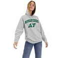 thumbnail image 1 of CFL WOMENS ROUGHRIDERS GREY HOODY, 1 of 1