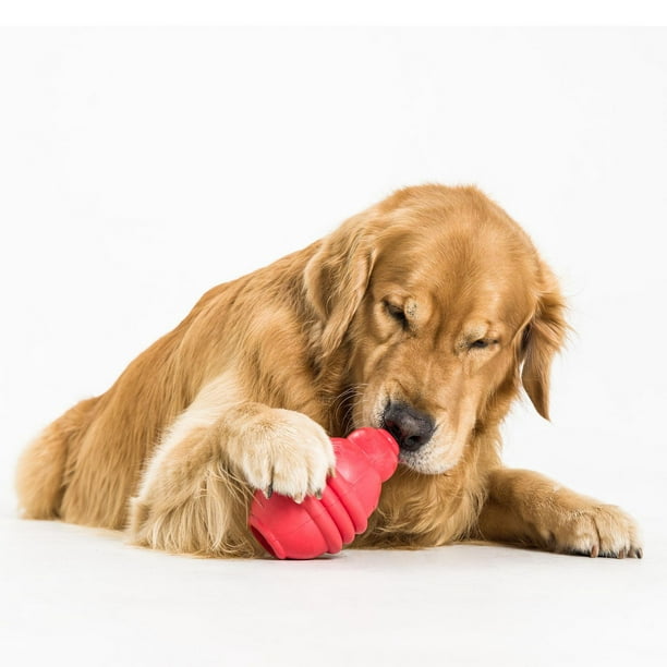 Jouet pour chiens, os rouge Kong goodie bone – Animalerie en ligne