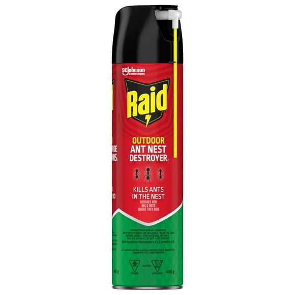 Raid Ant Nest Destroyer Insect Killer, Kills on Contact, For Outdoor Use, 400g, 400 g
