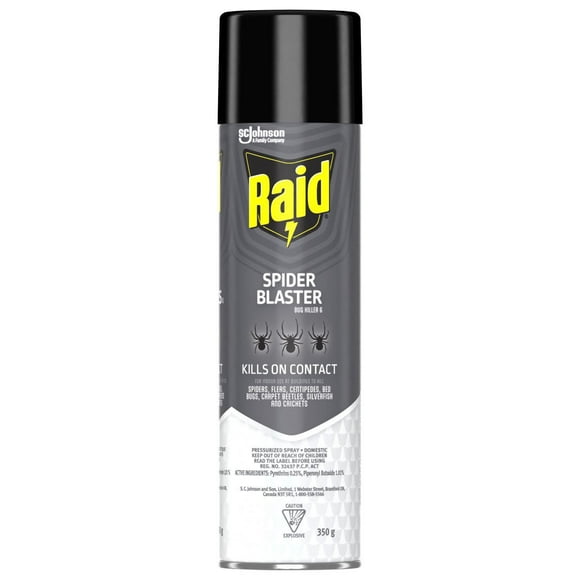 Raid Spider Blaster Insect Killer Spray, Kills Bugs on Contact, For Indoor and Outdoor Use, 350g
