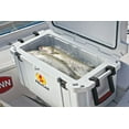 thumbnail image 3 of Pelican ProGear 65 Qt Elite Cooler White, 3 of 3