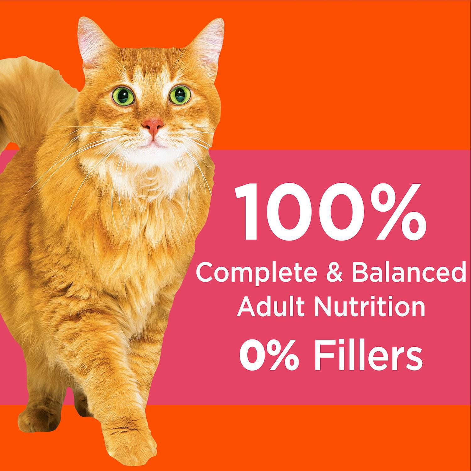 Iams Proactive Health Healthy Adult with Salmon Dry Cat Food 3.18kg Walmart