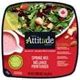 thumbnail image 1 of Fresh Attitude Single Salad Kit Spring Mix with Toppings, READY-TO-EAT SALAD, 1 of 7