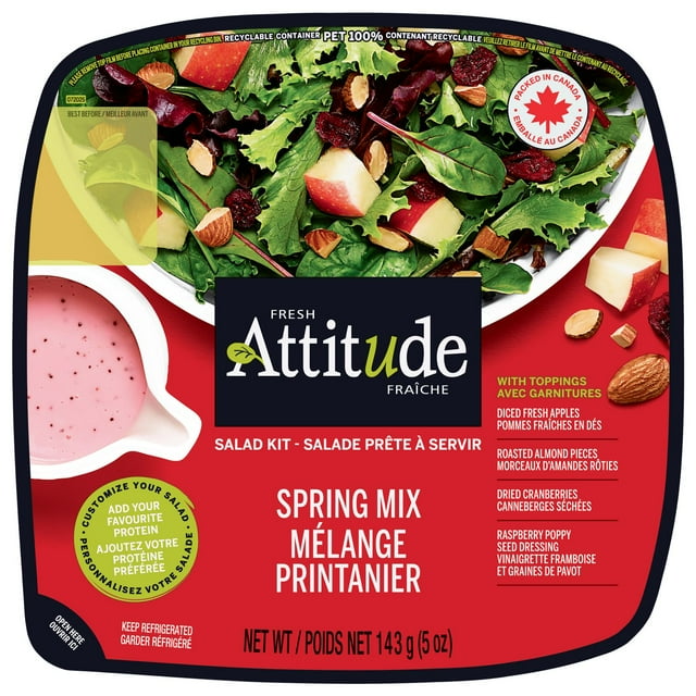 Fresh Attitude Single Salad Kit Spring Mix with Toppings, READY-TO-EAT SALAD