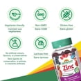 thumbnail image 3 of Jamieson gummies de zinc, baies, 70 gummies, 3 of 7