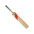thumbnail image 1 of Slazenger Short Handle V100 Ultimate Cricket Bat, 1 of 1