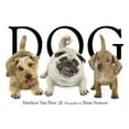 thumbnail image 1 of Dog, 1 of 1