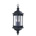 thumbnail image 1 of Fechner 3-Lumière Suspension Extérieur, Noir, 1 of 1
