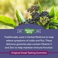 thumbnail image 3 of Nature’s Way Sambucus Black Elderberry Gummies, 3 of 7