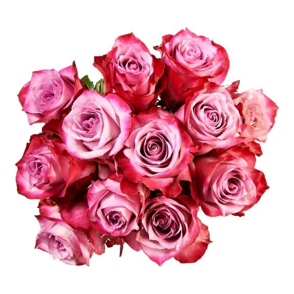 Dozen Roses Fresh Flowers, Product will vary from image.