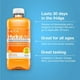 Hydralyte Solution pour le maintien des electrolytes Orange 1 Litre 1 litre prêt à consommer – image 2 sur 8