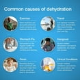 thumbnail image 4 of Hydralyte Solution pour le maintien des electrolytes Orange 1 Litre, 4 of 8
