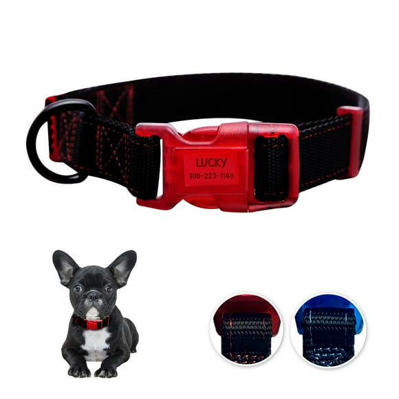 Sporn Dog ID Collar, Nylon Contrasting Colored Stitching Collars, Black & Red, Small, Dog Collar with built-in ID