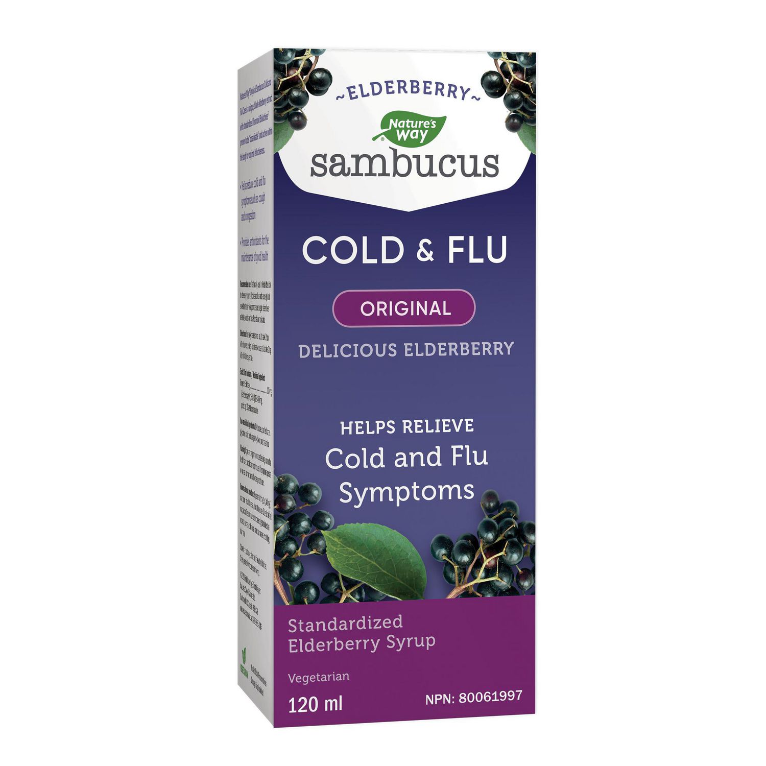 Nature’s Way Sambucus Black Elderberry Original Syrup