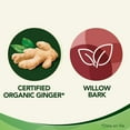 thumbnail image 3 of Gravol Ginger Multi-Symptom Cold and Fever Tablets with Willowbark, 3 of 6