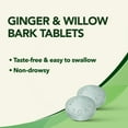 thumbnail image 4 of Gravol Ginger Multi-Symptom Cold and Fever Tablets with Willowbark, 4 of 6