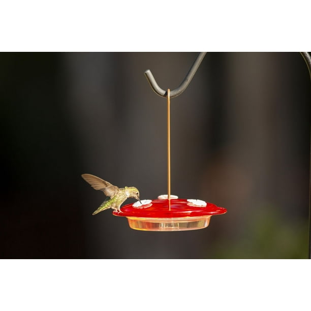 Mangeoire colibri à prix mini - Page 2