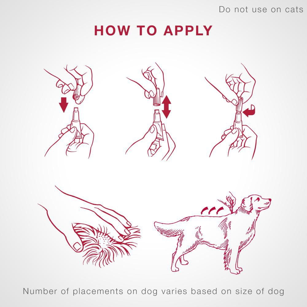 Walmart heartworm sale medicine