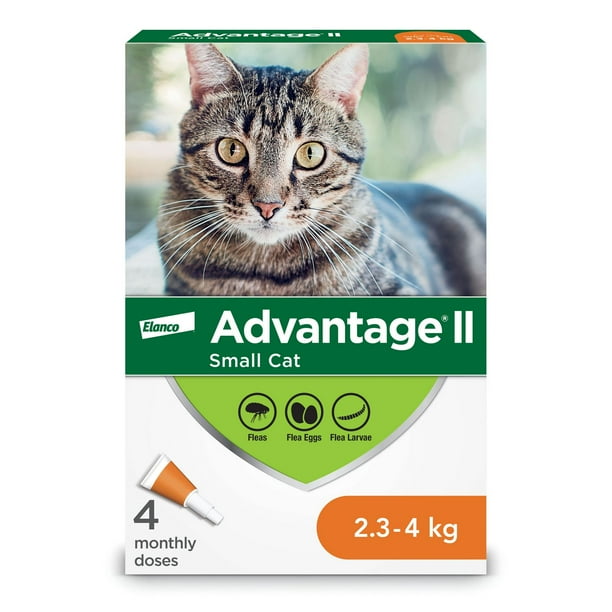 Image showcasing Advantage II Flea Treatment for Small Cats - Walmart.ca
