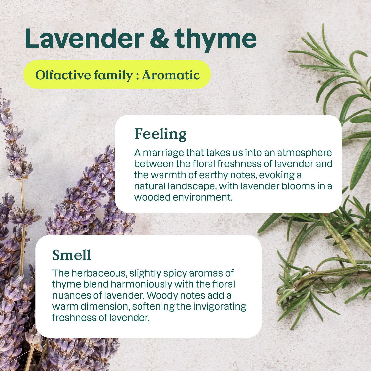 ATTITUDE home+ technology, Bathroom Cleaner Disinfectant 99.99%, Thyme & Lavender, 800 mL