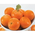 thumbnail image 1 of Mandarines, 1 of 1