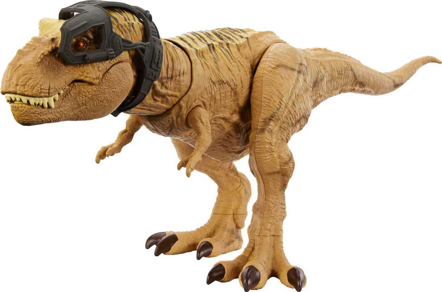 Dinosaure Tyrannosaure rex à déterrer 4M : King Jouet, Jeux scientifiques  4M - Jeux et jouets éducatifs