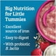 Céréales pour bébés GERBER® Étape 3 Multigrains avec yogourt et framboise 227 g 0M-5T – image 5 sur 9