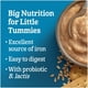 Céréales pour bébés GERBER® Étape 3 Biscuits de blé 227 g 227 GR – image 5 sur 9
