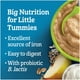 Céréales bébés GERBER® Multigrains yogourt, pomme, poire, banana 227 g 227 GR – image 5 sur 9