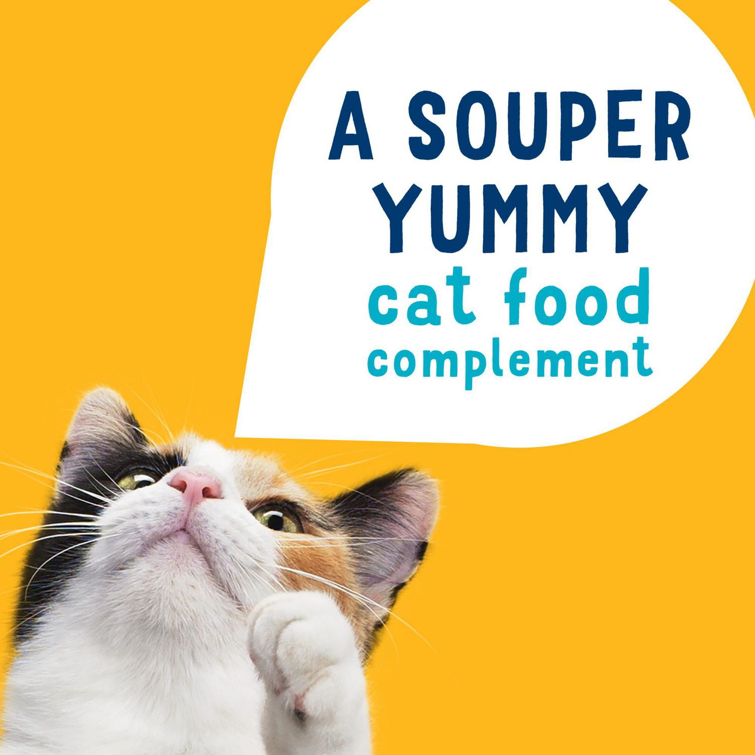 Lil soups outlet cat food