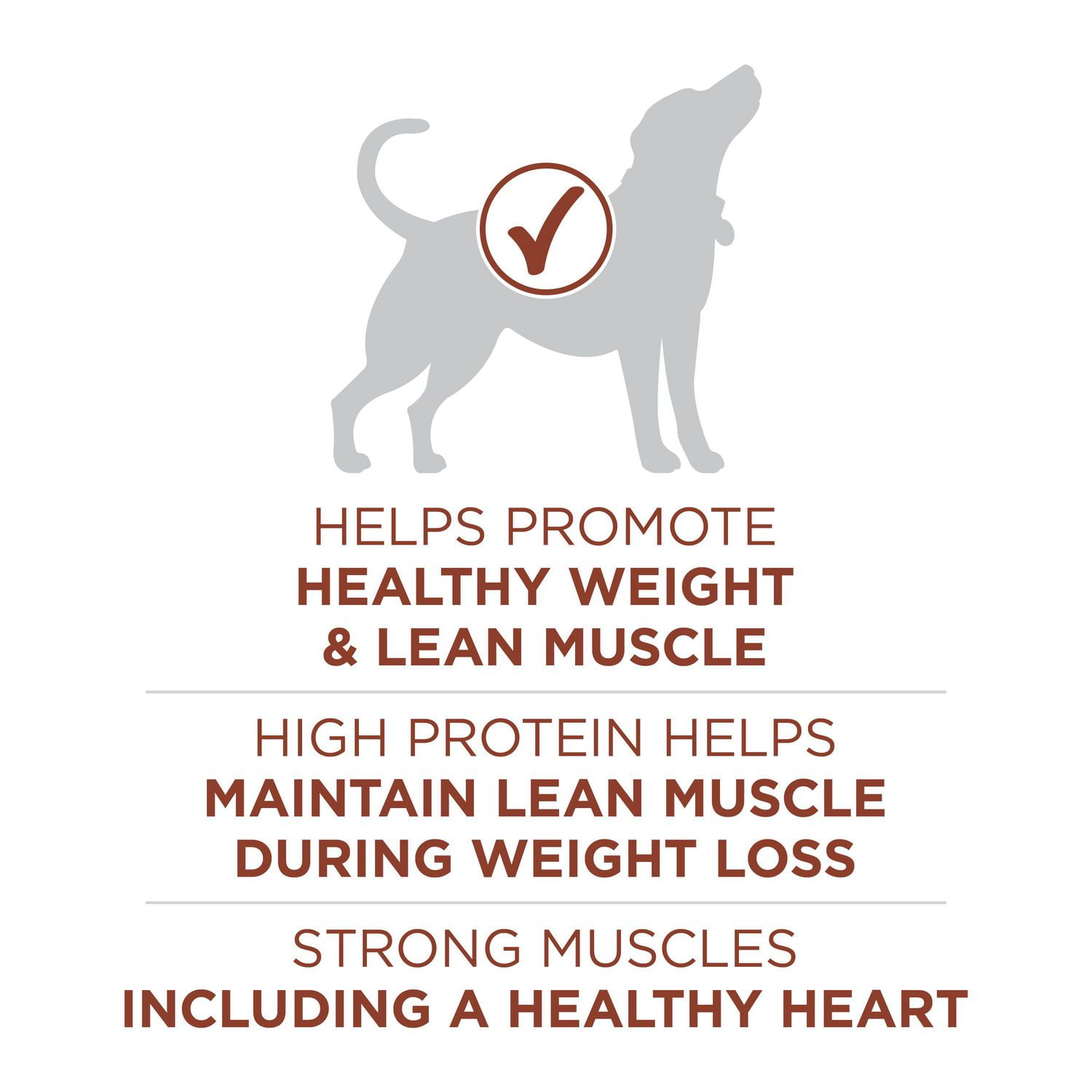 Purina one small dog weight control best sale