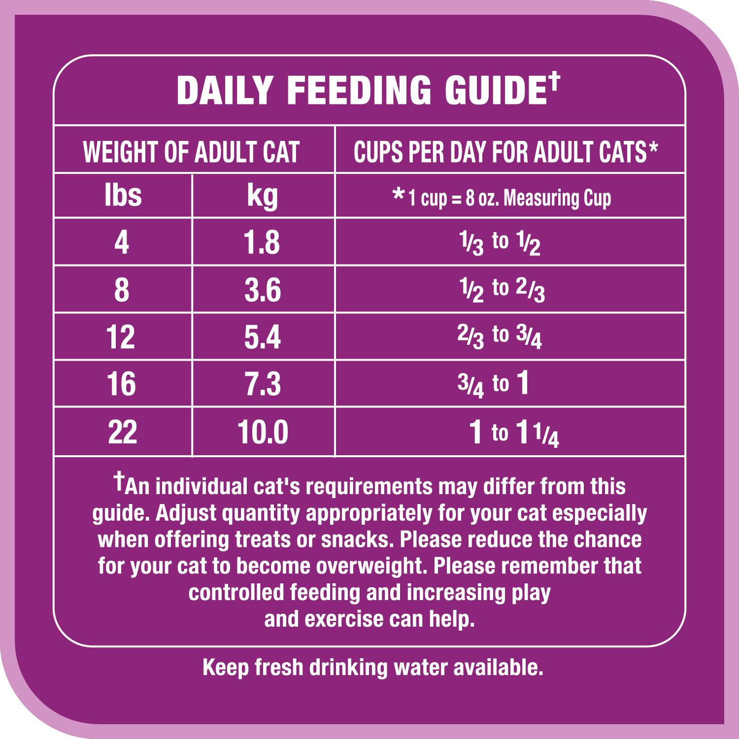 cat food for indoor cats