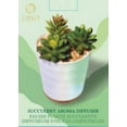 thumbnail image 3 of Lomi Succulent Aroma Diffuser, 3 of 4
