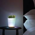 thumbnail image 4 of Lomi Succulent Aroma Diffuser, 4 of 4