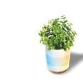 thumbnail image 2 of Diffuseur d'arômes de plantes Lomi, 2 of 4