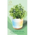 thumbnail image 3 of Diffuseur d'arômes de plantes Lomi, 3 of 4