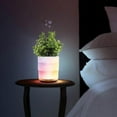 thumbnail image 4 of Diffuseur d'arômes de plantes Lomi, 4 of 4